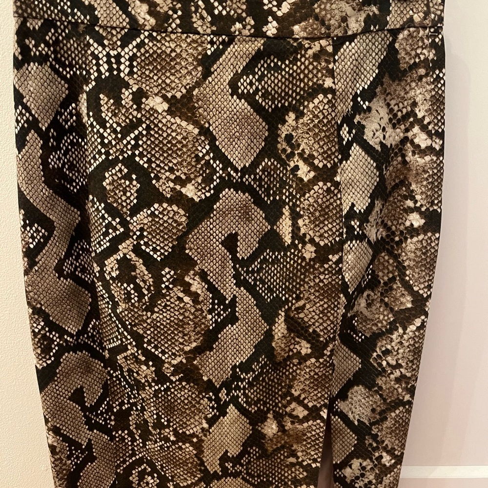 Altuzarra snake print lined skirt with front slit nwot - Picture 13 of 13